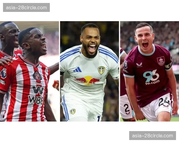 升班马生存策略比较 桑德兰稳定性值得称道